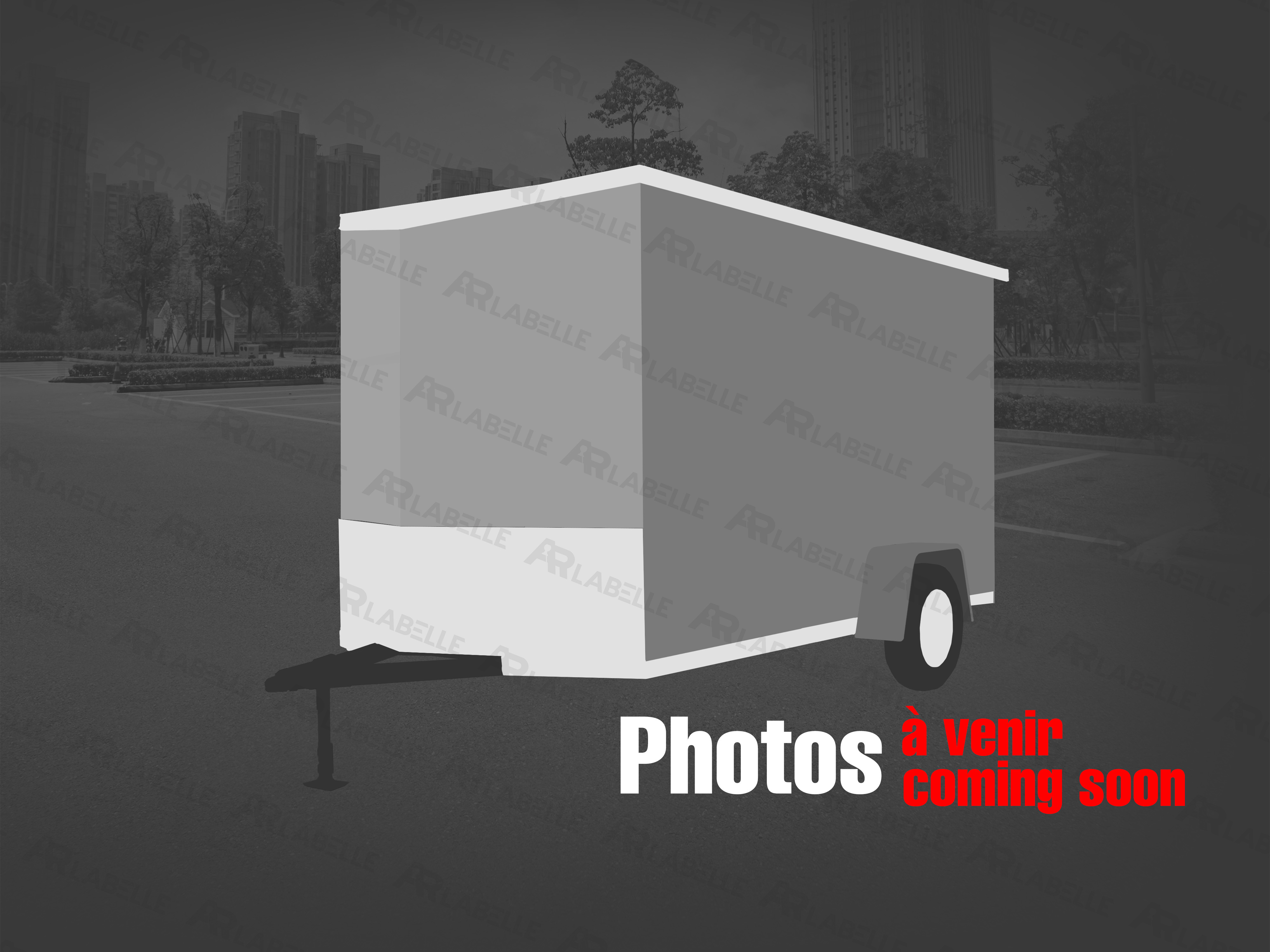 IDEAL CARGO EV SZ 6x12 - SA