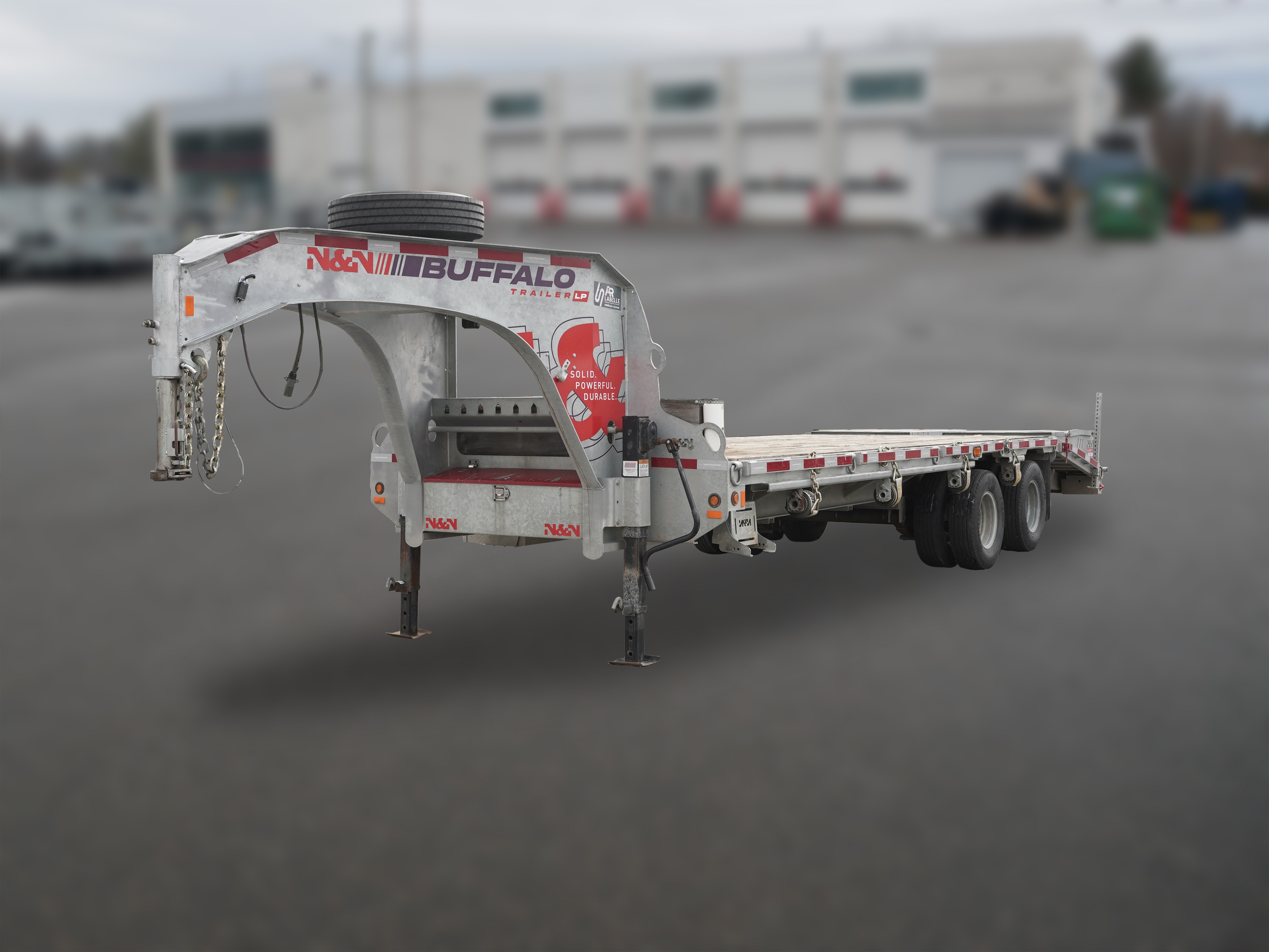 N&N DOG 102x25 G - 24K